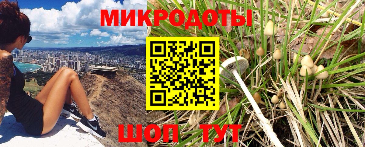 Галлюциногенные грибы Psilocybine cubensis Обь